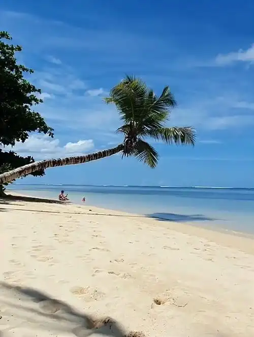 美丽的景色,阳光和沙滩,享受惬意的度假时光-度小视