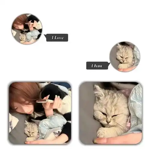 男朋友  #情侣头像分享  #头像分享  #男朋友不是人系列情头废眄