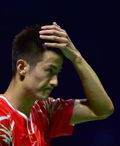 中国羽毛球公开赛:谌龙获男单亚军