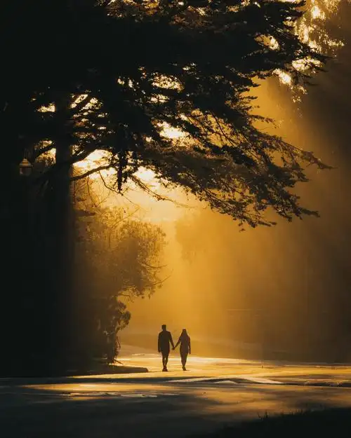 逆光摄影技巧(逆光拍摄是对着太阳拍吗)