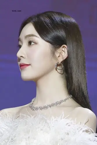 red velvet裴珠泫irene