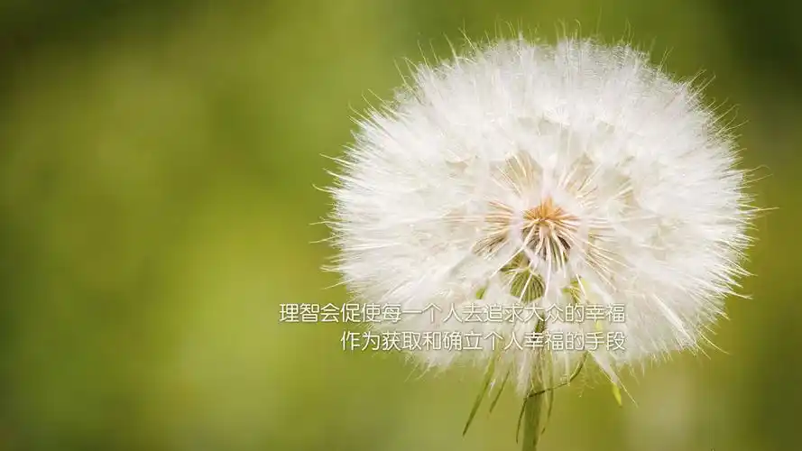 励志正能量名言高清桌面壁纸