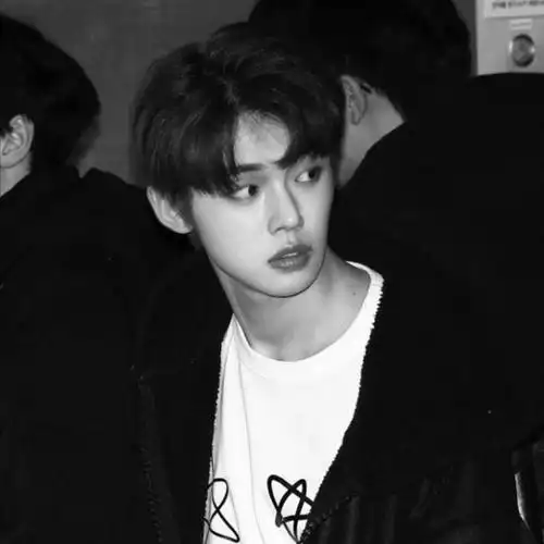 一等爱豆崔连准头像