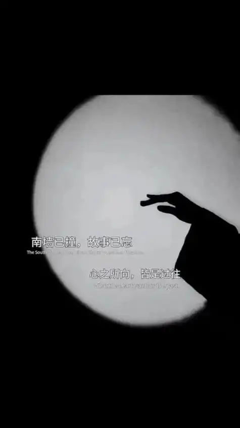 始于心甘情愿,终于愿赌服输,来时没奢求,离时亦坦然,暖不了也捂不热