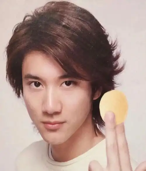 王力宏新代言造型曝光!剃掉胡须变清爽,新发型意外撞脸董明珠__凤凰网