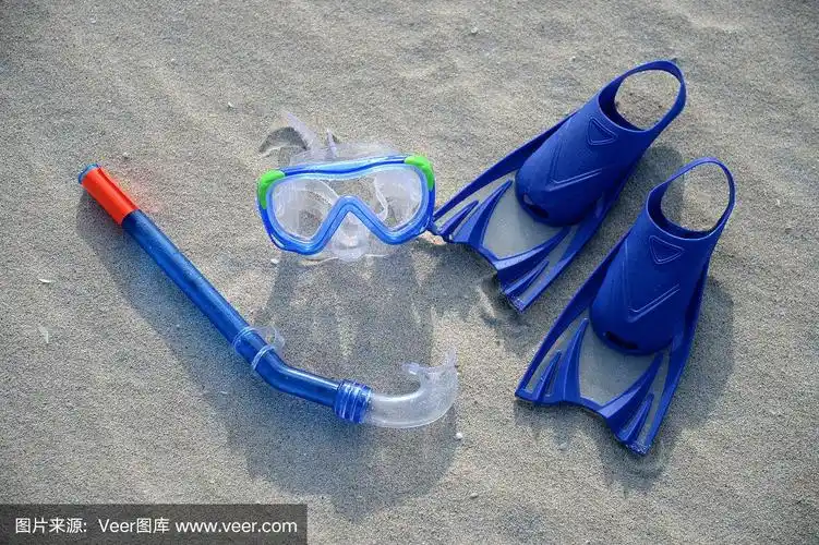 「水上运动」2024上海国际水上运动展览会