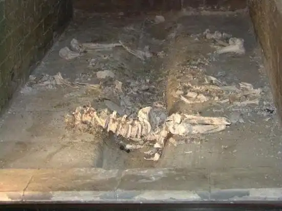 接着,工作人员就会用锤敲碎一些大骨头,然后用扫走扫骨灰为一堆,-用