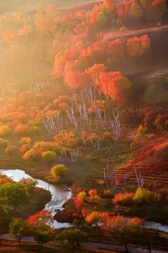 《东北坝上行之四,美丽风景在路上》