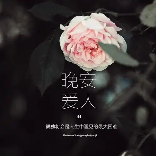 对女朋友晚安暖心句子_发朋友圈的晚安句子_心暖西瓜君苏暖小污婆