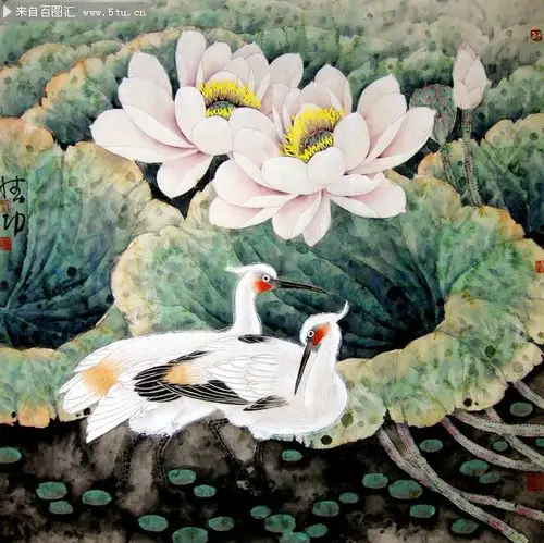 工笔荷花仙鹤图片