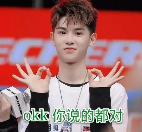 黄明昊搞笑表情包:小贾弟弟双手比着ok,他觉得你说的都对!