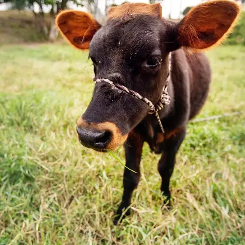 采风福建泉州(第三集) - 美篇