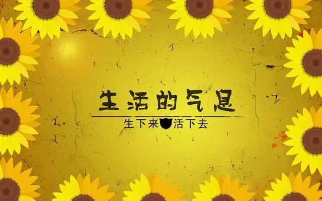 人到中年,生活离不开一个"字"