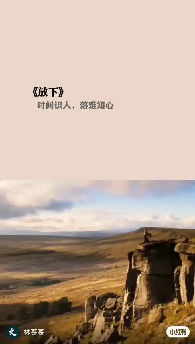 一切随风而去吧 #就此放下#皆是过眼云烟#心冷了不在暖了 - 抖音