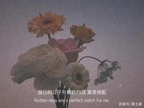 适合情侣发朋友圈的超甜文案!赶快收藏哦!