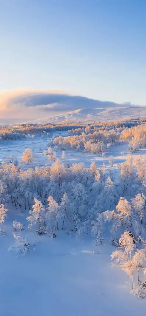 壁纸 风景 摄影 桌面 690_1494 竖版 竖屏 手机
