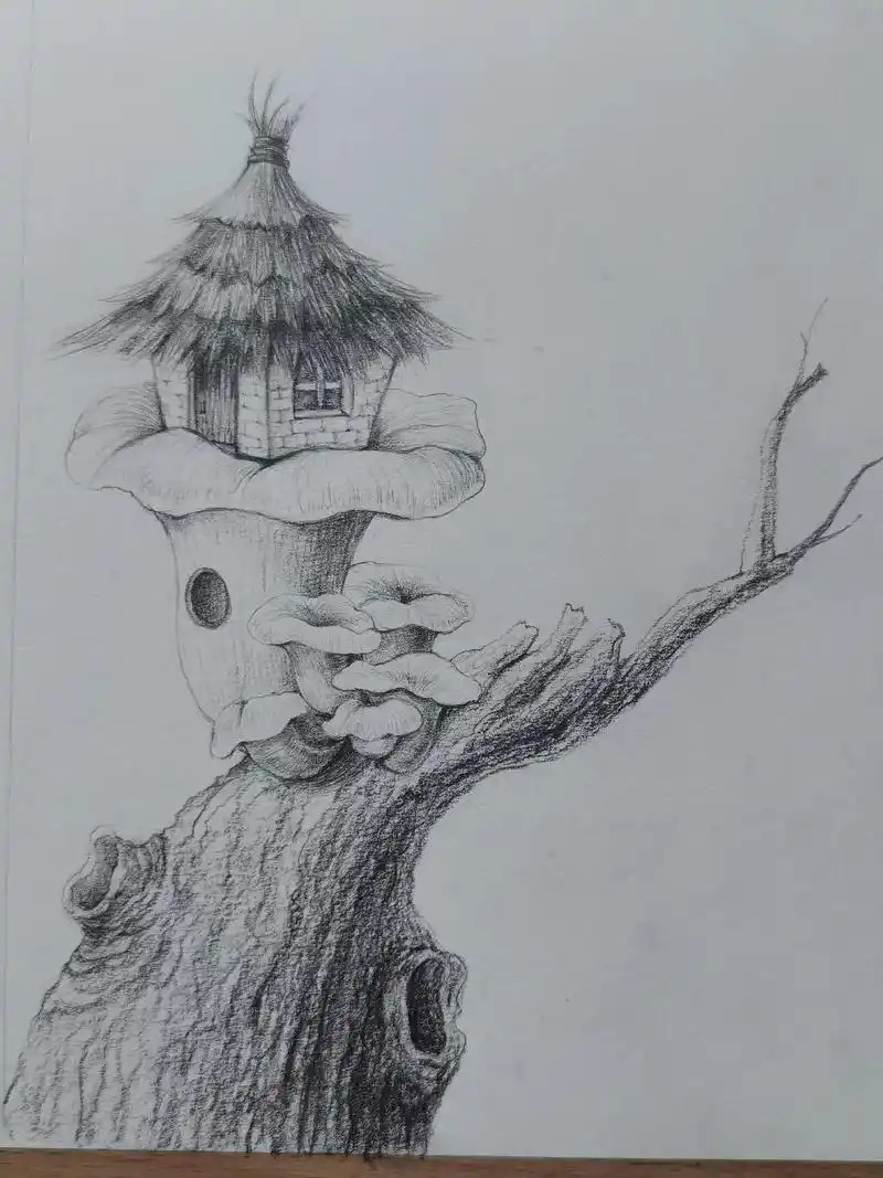 我住树洞就行.草屋给你留着#简笔画 #创意素描 #控笔训练  - 抖音