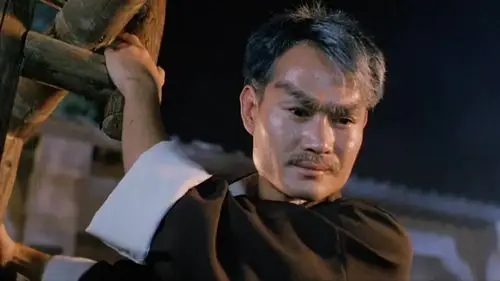 3-26 11:38 来自 微博视频号