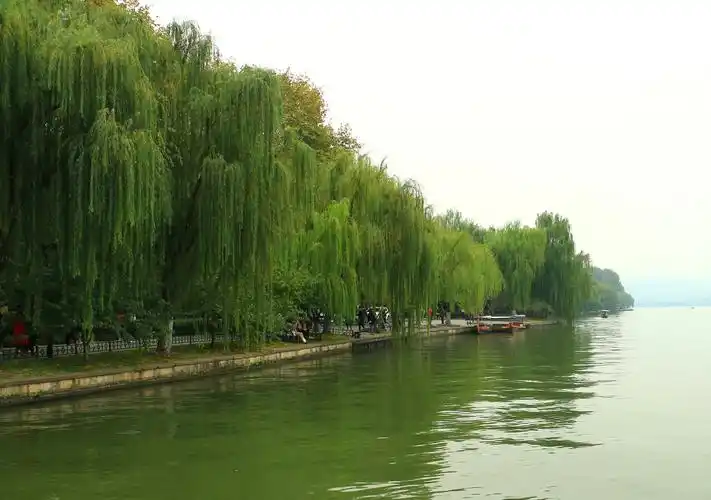 杭州西湖柳浪闻莺景区