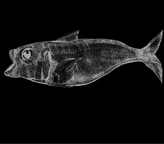 黑白色 两面 黑暗光明原创设计 插画 图案