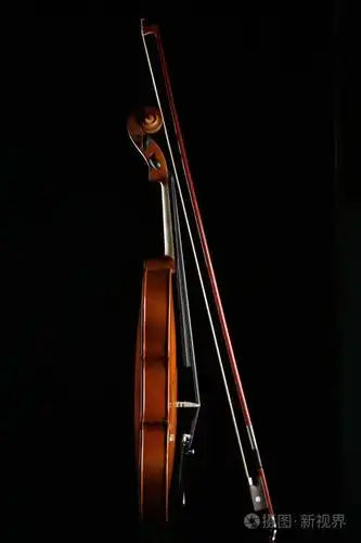 黑色背景上的小提琴