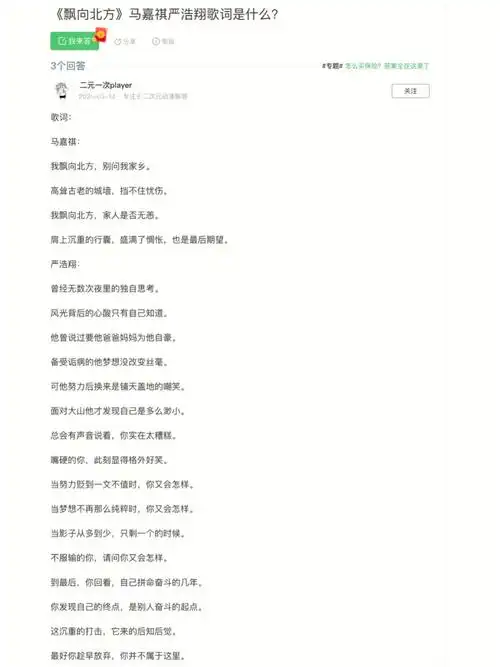 马嘉祺严浩翔的飘向北方歌词