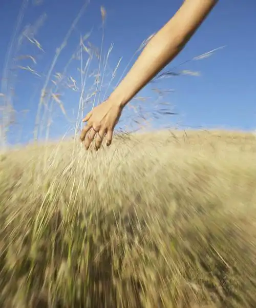 东方人,手,一个人,站,竖图,室外,特写,白天,正面,草地,草坪,森林,树林