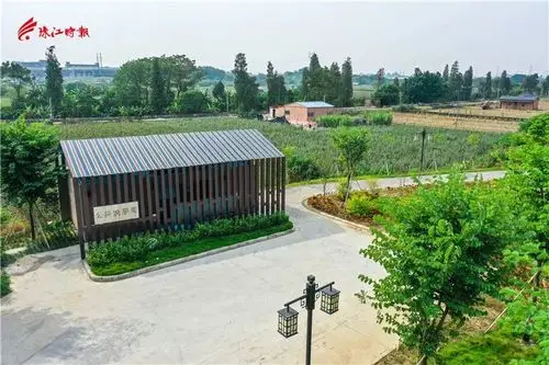 狮山官窑:一年多时间荒地变公园,背后有什么故事?【乡村振兴百村行】