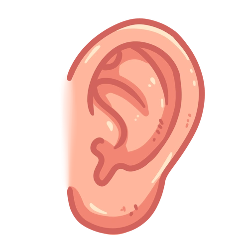 保护耳朵,聆听美好—品乐思幼儿园爱护耳朵小知识