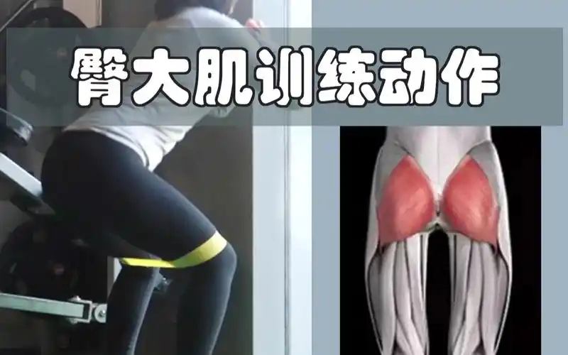 全麦练出翘臀臀部训练之臀大肌改善臀型