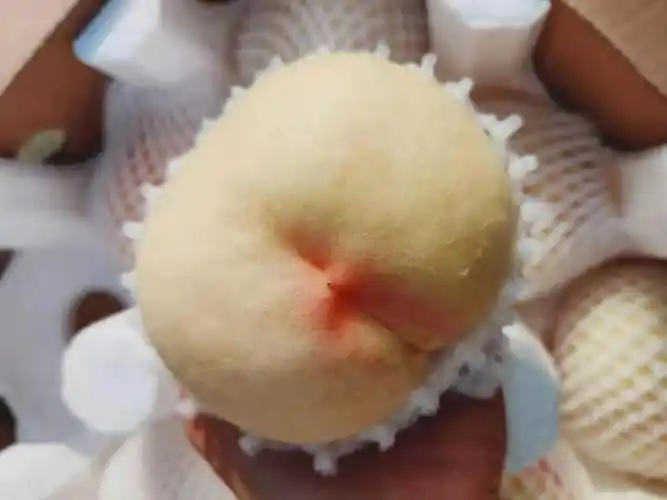 白如玉毛桃脆甜脆甜的得劲