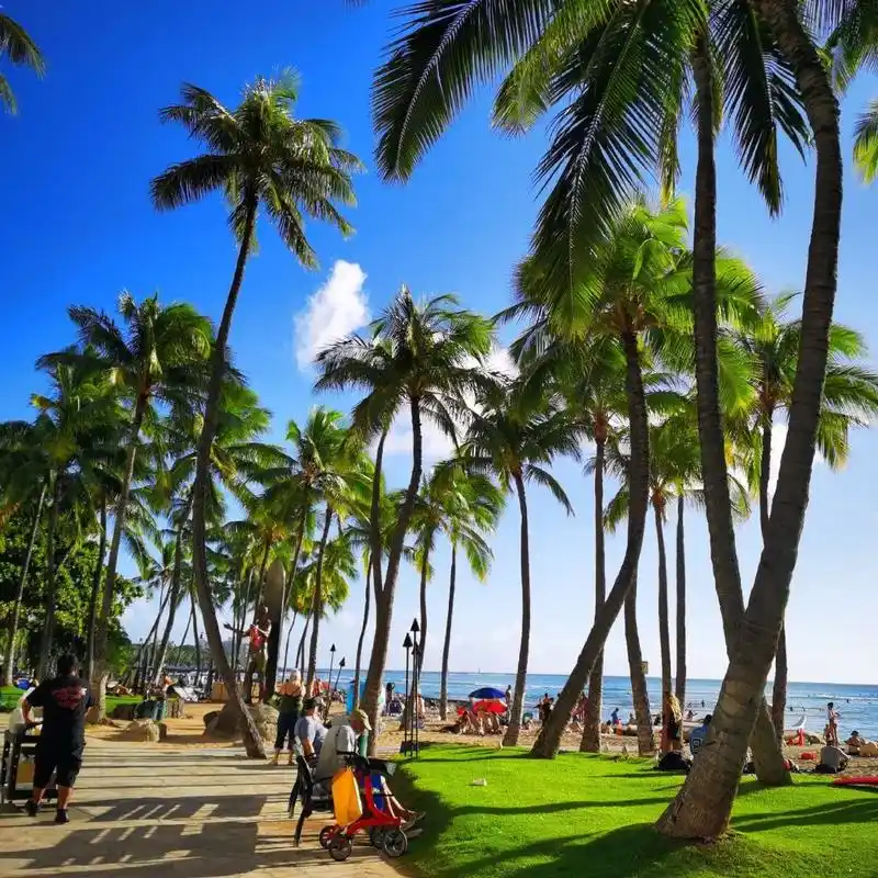 斐济微醺海风及无敌海景