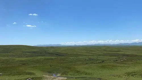 写美篇美仁大草原位于甘肃省合作市东,这里是青藏高原特有的高山草甸