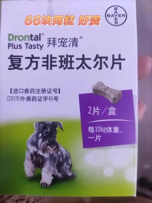 终于把驱虫药喂给狗狗吃了