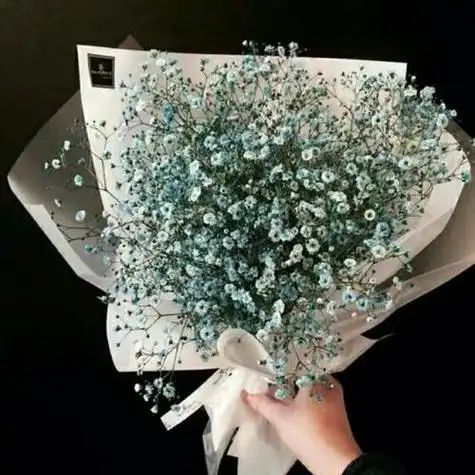 情侣动漫头像手捧花满天星