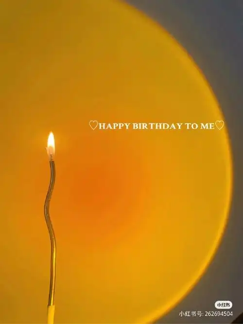 孤独的生日请祝我生日快乐