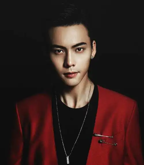 深度解说陈伟霆:from skin to the bone