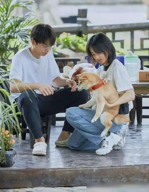 张子枫多次暗秀恩爱!男方机场黑脸,国民妹妹和塌房爱豆恋爱口碑跌