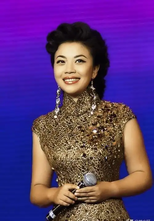 长期活跃于春晚舞台的女人,身材丰腴,酷爱旗袍_张也_合作_艺术