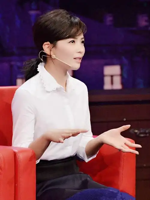 刘涛简历个人资料简介(从闪嫁豪门到替夫还债4亿) - 散下步