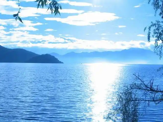 心静如水【人生感悟】