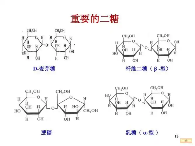 生物化学 糖类代谢 课件ppt