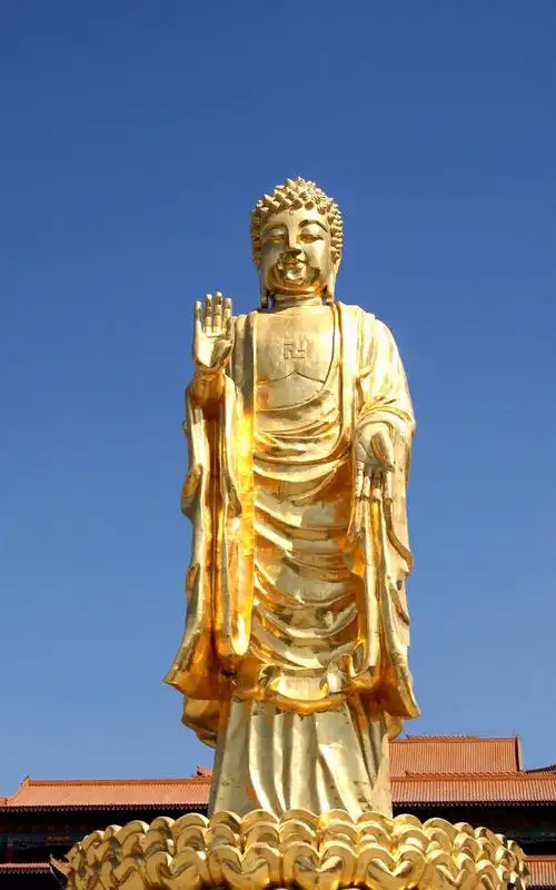 【红光山无名花摄影图片】红光山大佛生态摄影_http://pp.520dc.