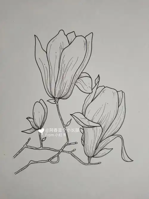 临摹线条画装饰画附带过程