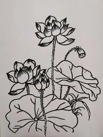 学简笔画的网络直播课