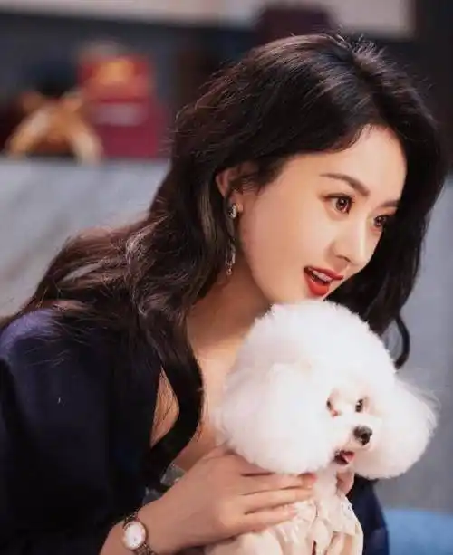 赵丽颖浓浓花絮照,眼光澄澈,笑颜如花_行程_视频_浮动