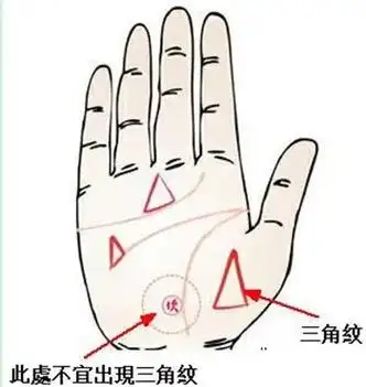 三角纹在手掌不同位置的含义 1,三角纹位于生命线上: 这种情 - 抖音