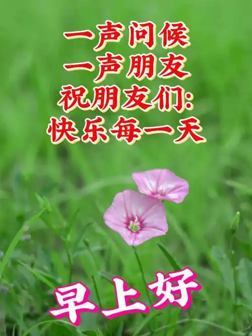 早安图片精选创意祝福图片带问候语美好的一天不忘牵挂和问候早上好