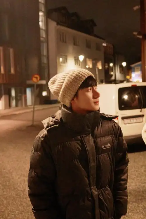 胡先煦花儿与少年