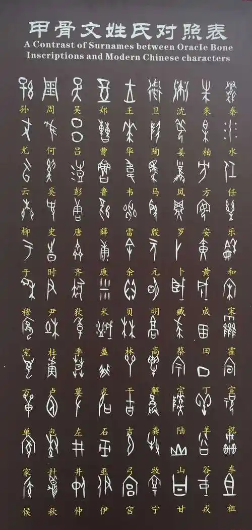 甲骨文姓氏
